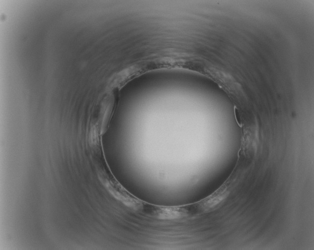 X0000083530623200702161914