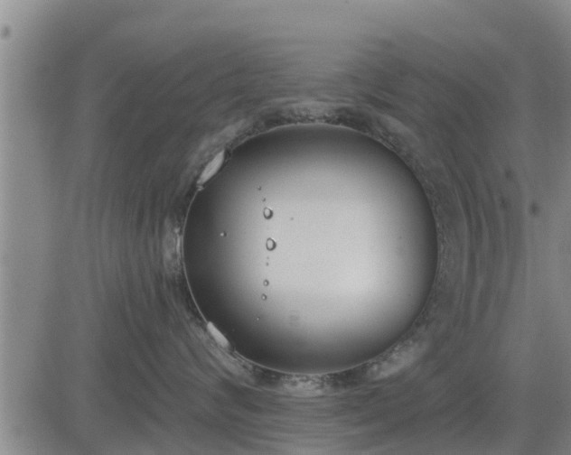 X0000083530624200702161914