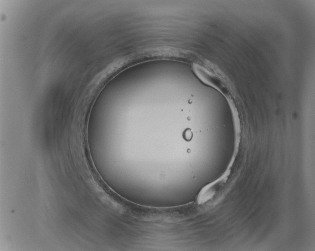 X0000083530625200702161913