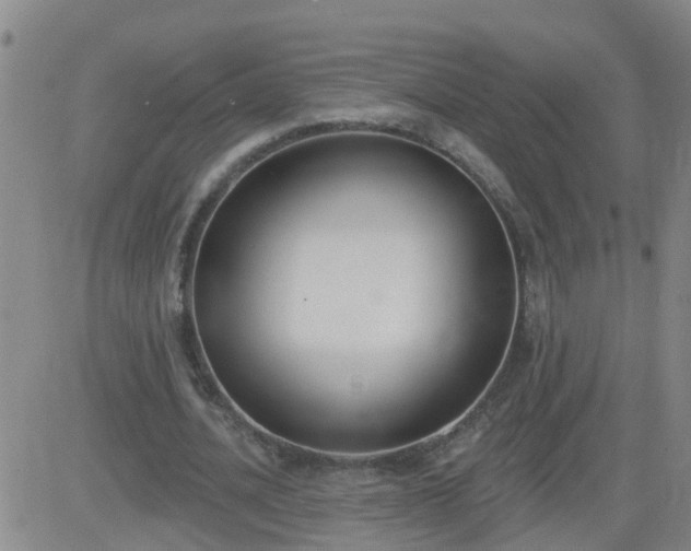 X0000083530628200702161913