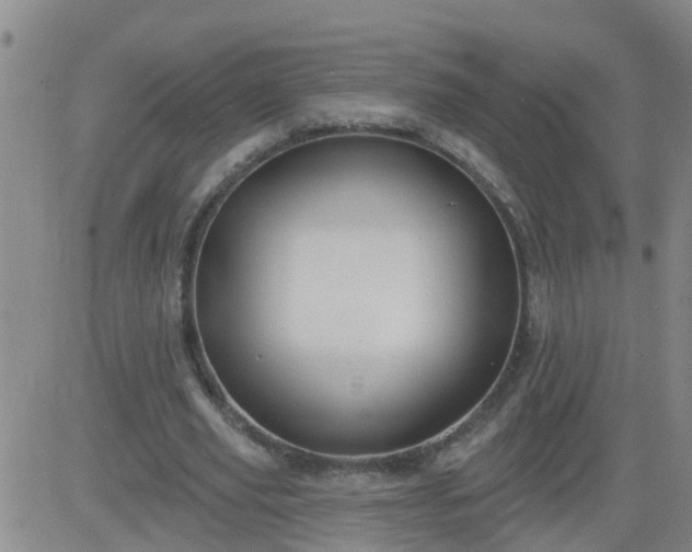 X0000083530629200702161913