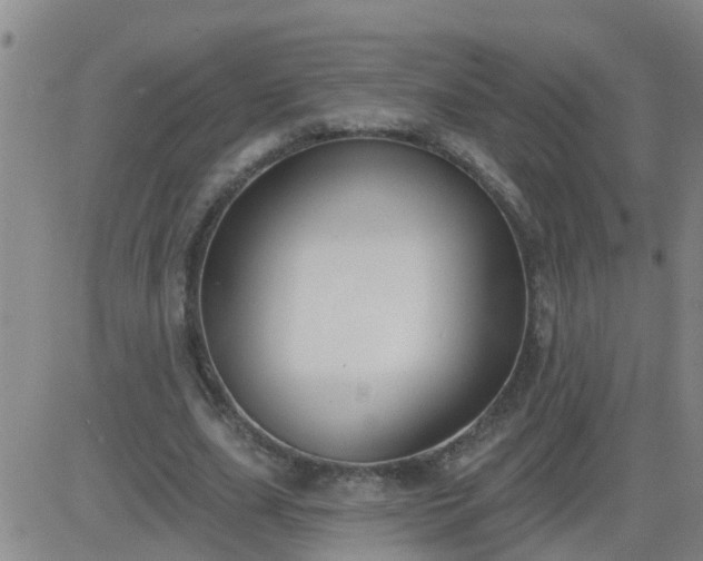 X0000083530631200702161913