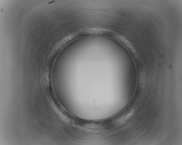 X0000083530633200702161913