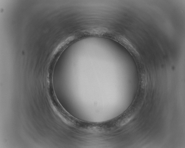 X0000083530634200702161913