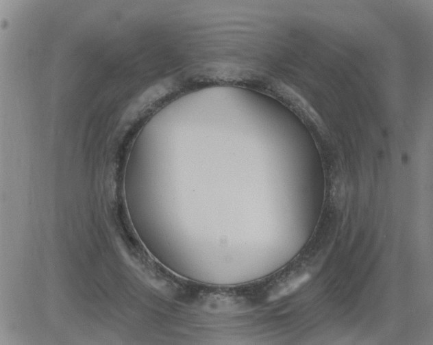 X0000083530635200702161913