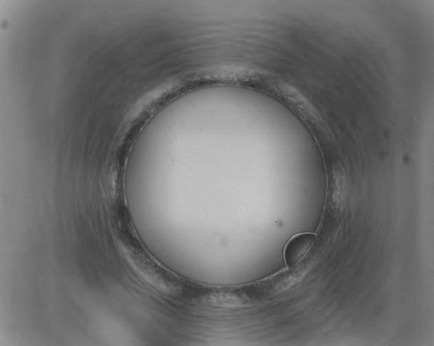 X0000083530636200702161913