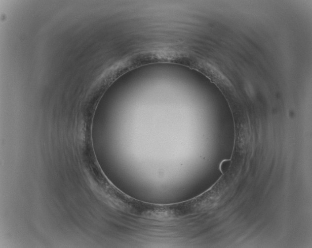 X0000083530639200702161913