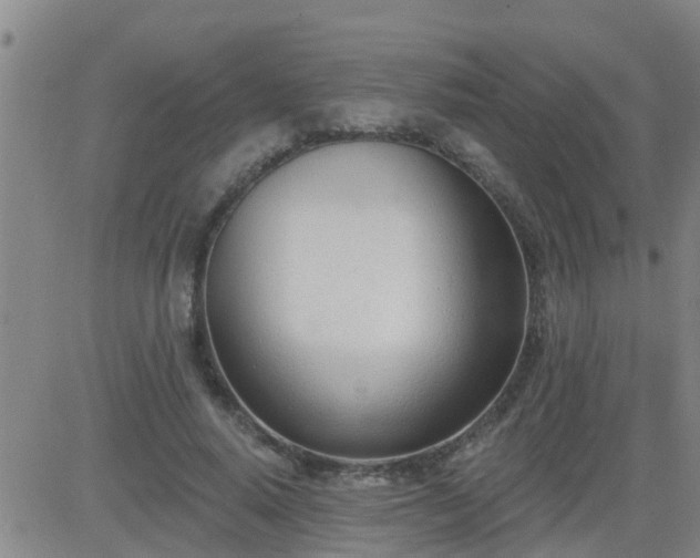 X0000083530640200702161913