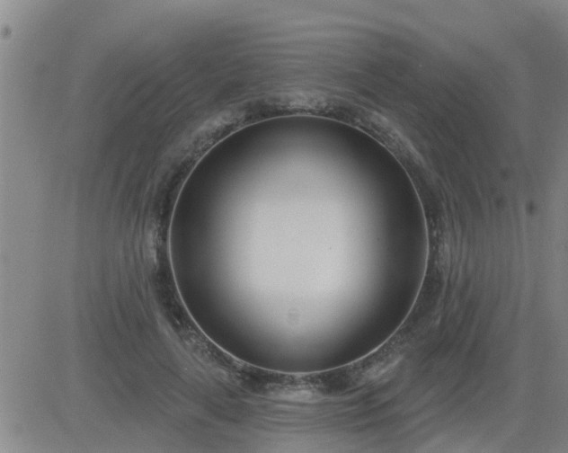 X0000083530643200702161913