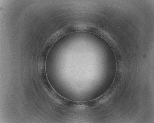 X0000083530645200702161913