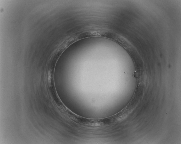 X0000083530646200702161913