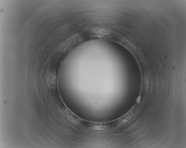 X0000083530657200702161913