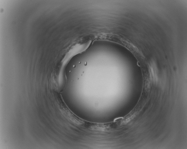 X0000083530661200702161914