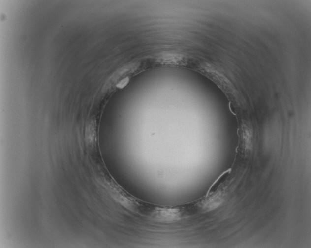 X0000083530665200702161914