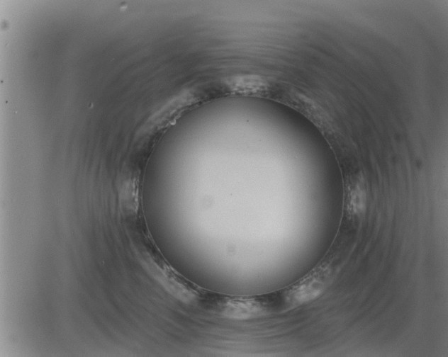 X0000083530666200702161914