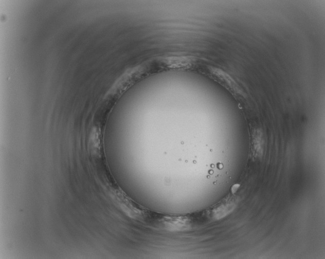 X0000083530667200702161914