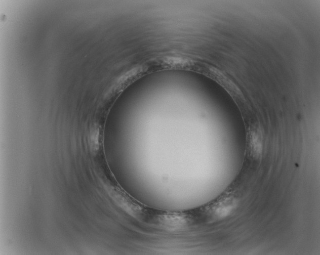 X0000083530668200702161914