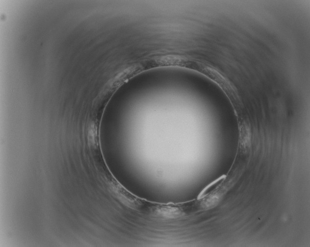 X0000083530669200702161914