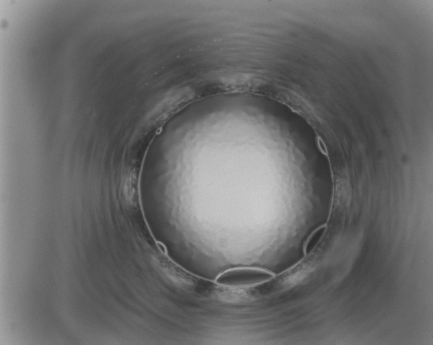 X0000083530671200702161914