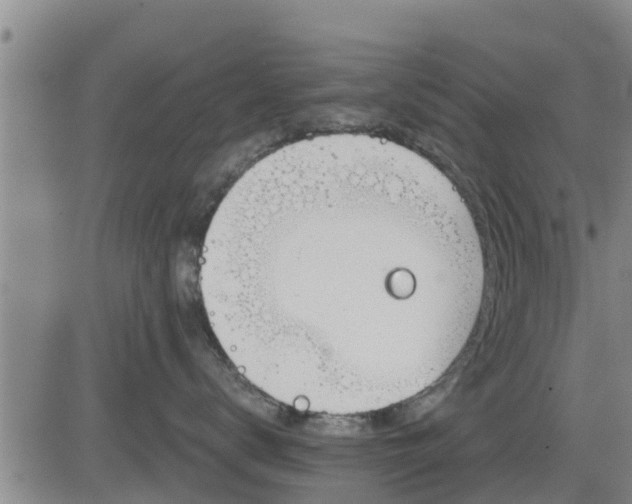 X0000083530672200702161914