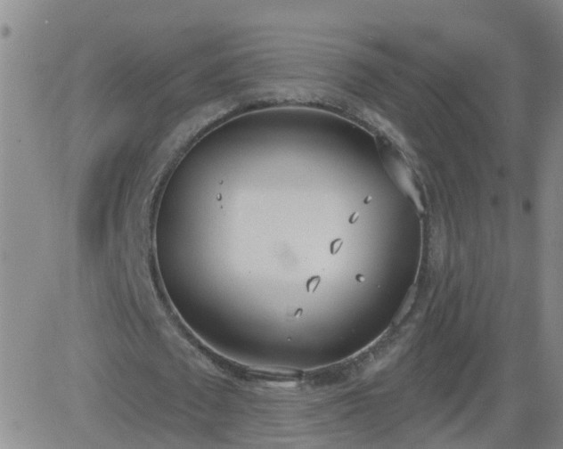 X0000083530673200702161913