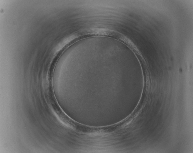 X0000083530674200702161913