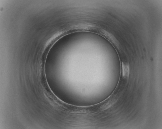 X0000083530675200702161913