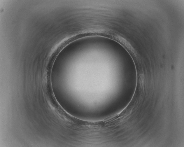 X0000083530676200702161913