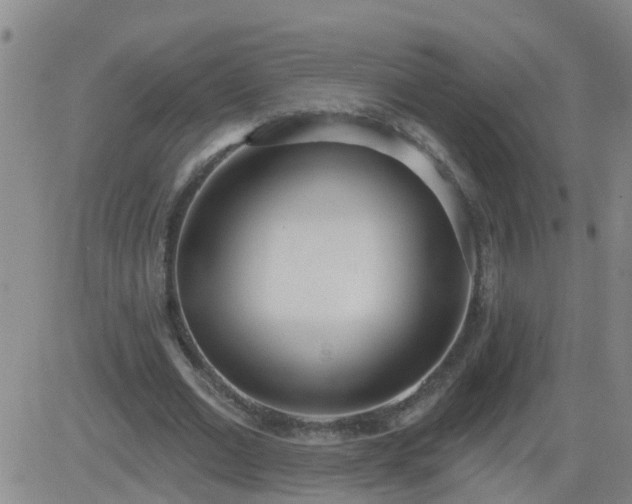 X0000083530677200702161913