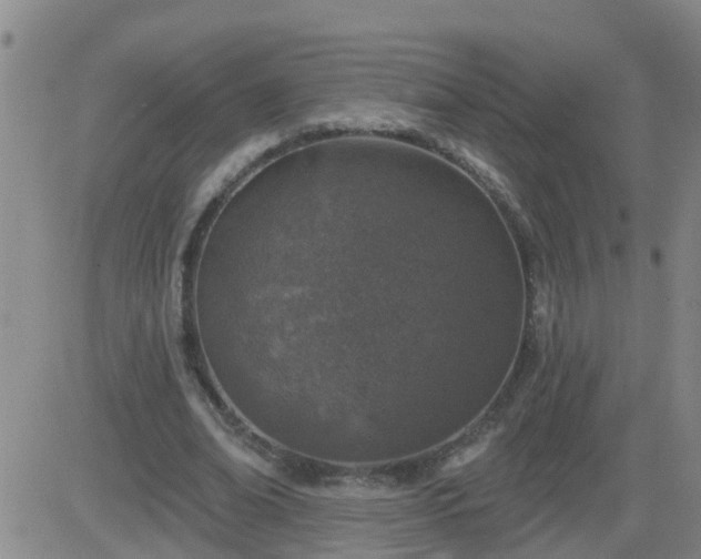 X0000083530678200702161913