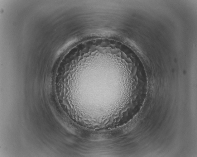 X0000083530679200702161913