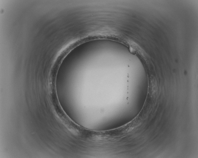 X0000083530680200702161913