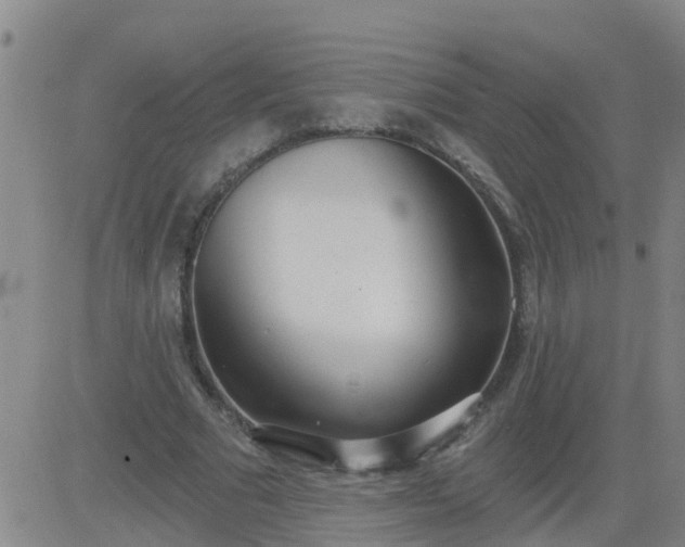 X0000083530681200702161913