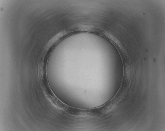 X0000083530682200702161913