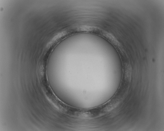 X0000083530683200702161913