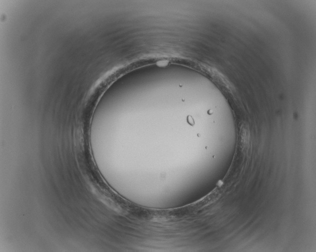 X0000083530684200702161913