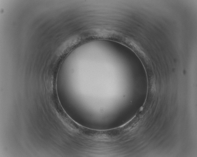 X0000083530685200702161913