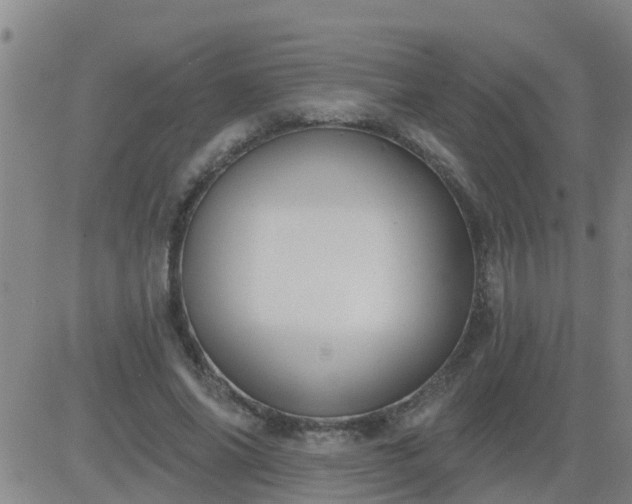 X0000083530686200702161913