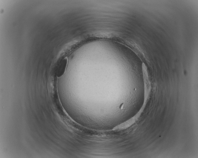 X0000083530688200702161913