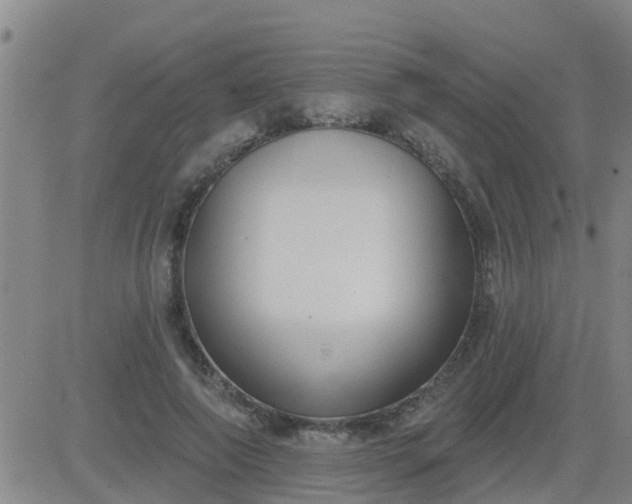 X0000083530690200702161913