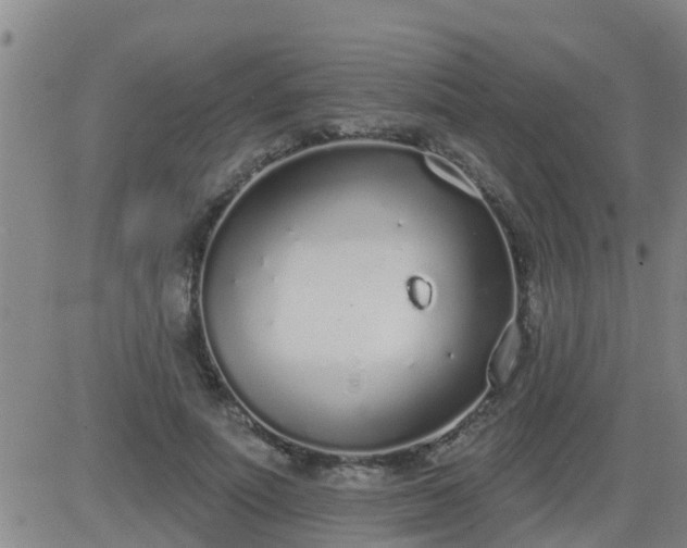 X0000083530691200702161913