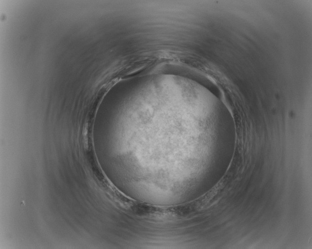 X0000083530696200702161913