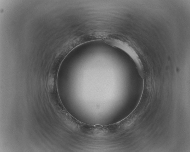 X0000083530697200702161913