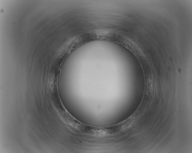 X0000083530698200702161913