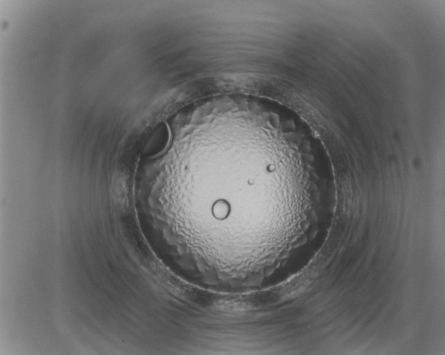 X0000083530699200702161913