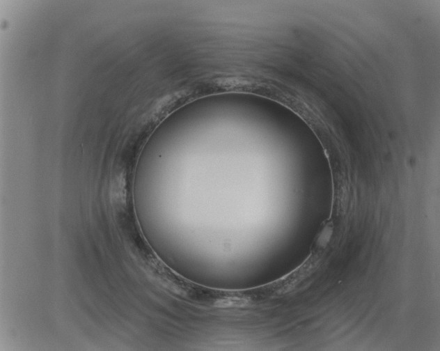 X0000083530700200702161913