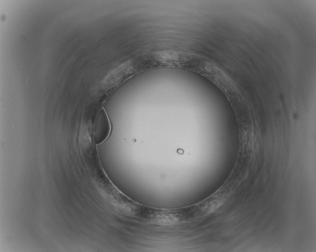 X0000083530702200702161912