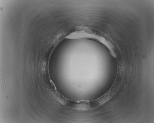 X0000083530708200702161912