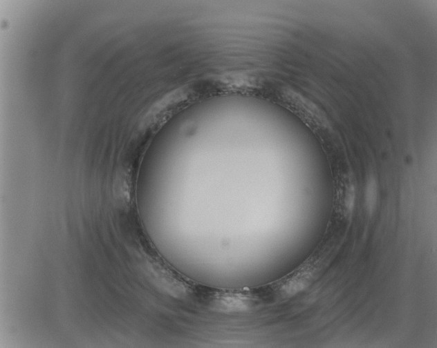 X0000083530710200702161912