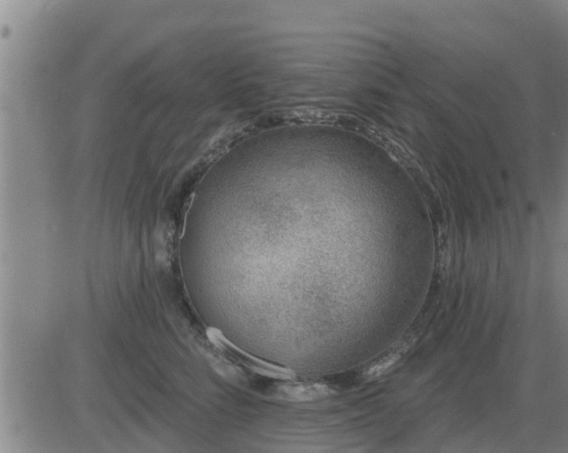 X0000083530712200702161912